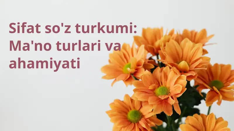 Sifat so'z turkumi: Ma'no turlari va ahamiyati