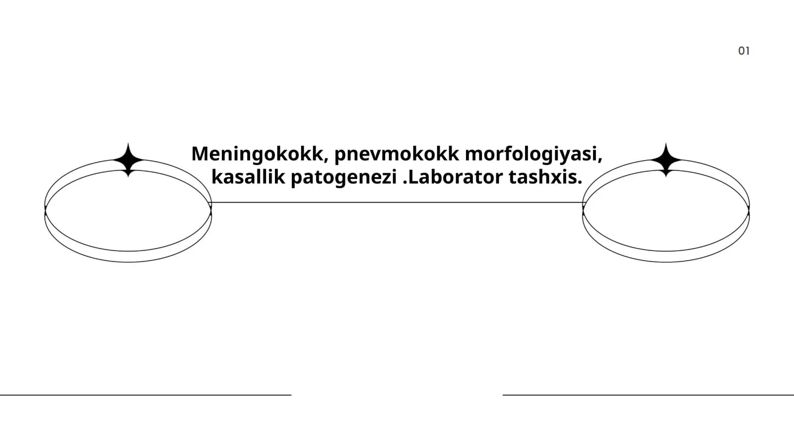Meningokokk va pnevmokokk morfologiyasi va kasallik patogenezi