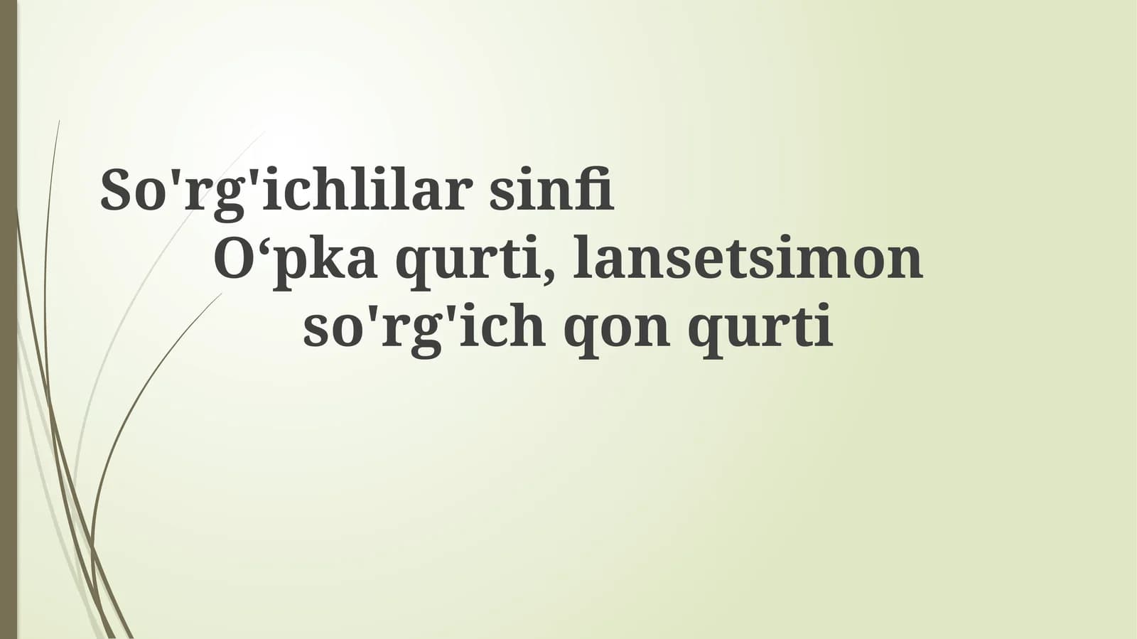 Trematodalar sinfi: Umumiy tavsif, morfologiya va hayotiy tsikl