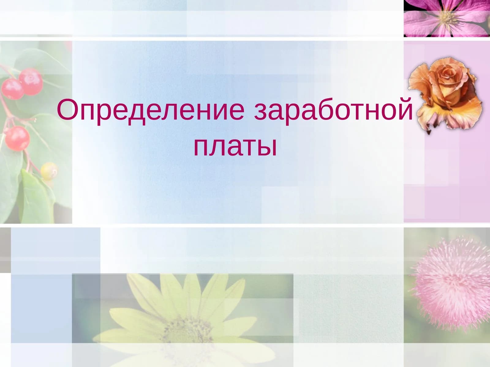 Определение заработной платы
