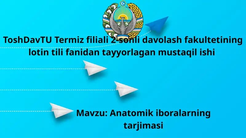 Anatomik iboralarning tarjimasi