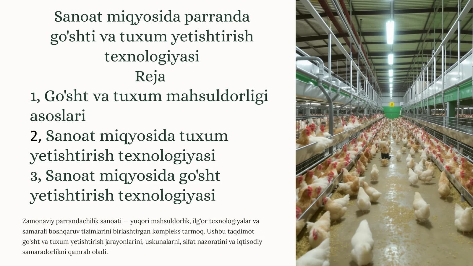 Sanoat miqyosida parranda go'shti va tuxumyetishtirishtexnologiyasi