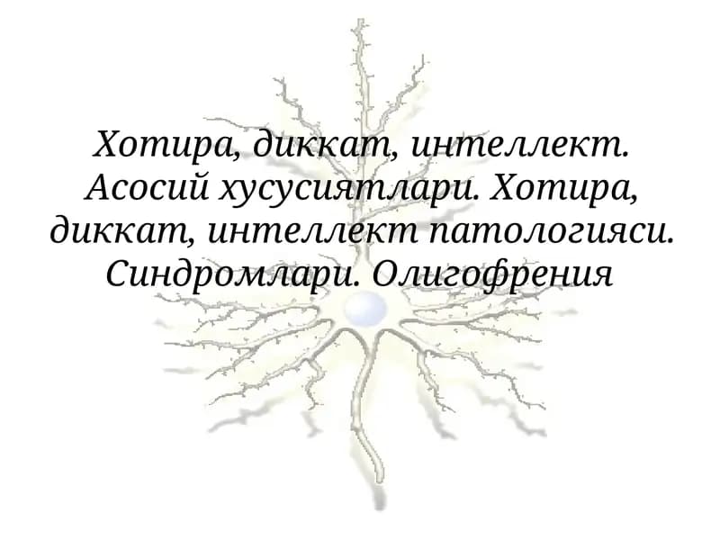 Хотира