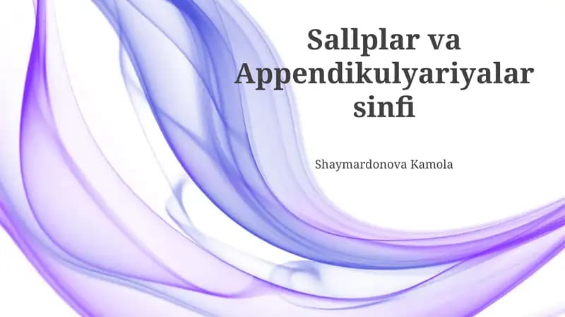 Sallplar va Appendikulyariyalar sinfi