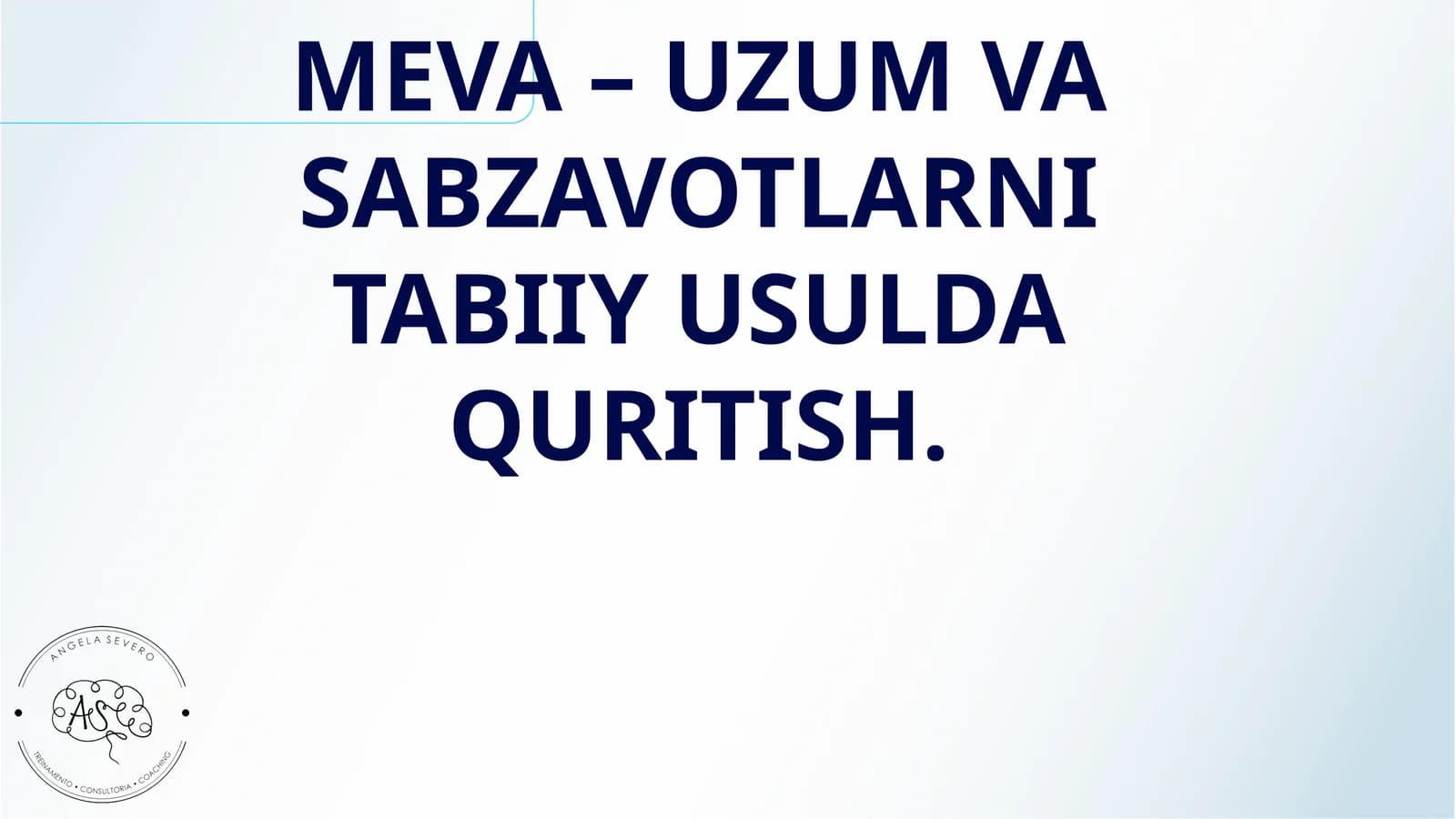 MEVA – UZUM VA SABZAVOTLARNI TABIIY USULDA QURITISH