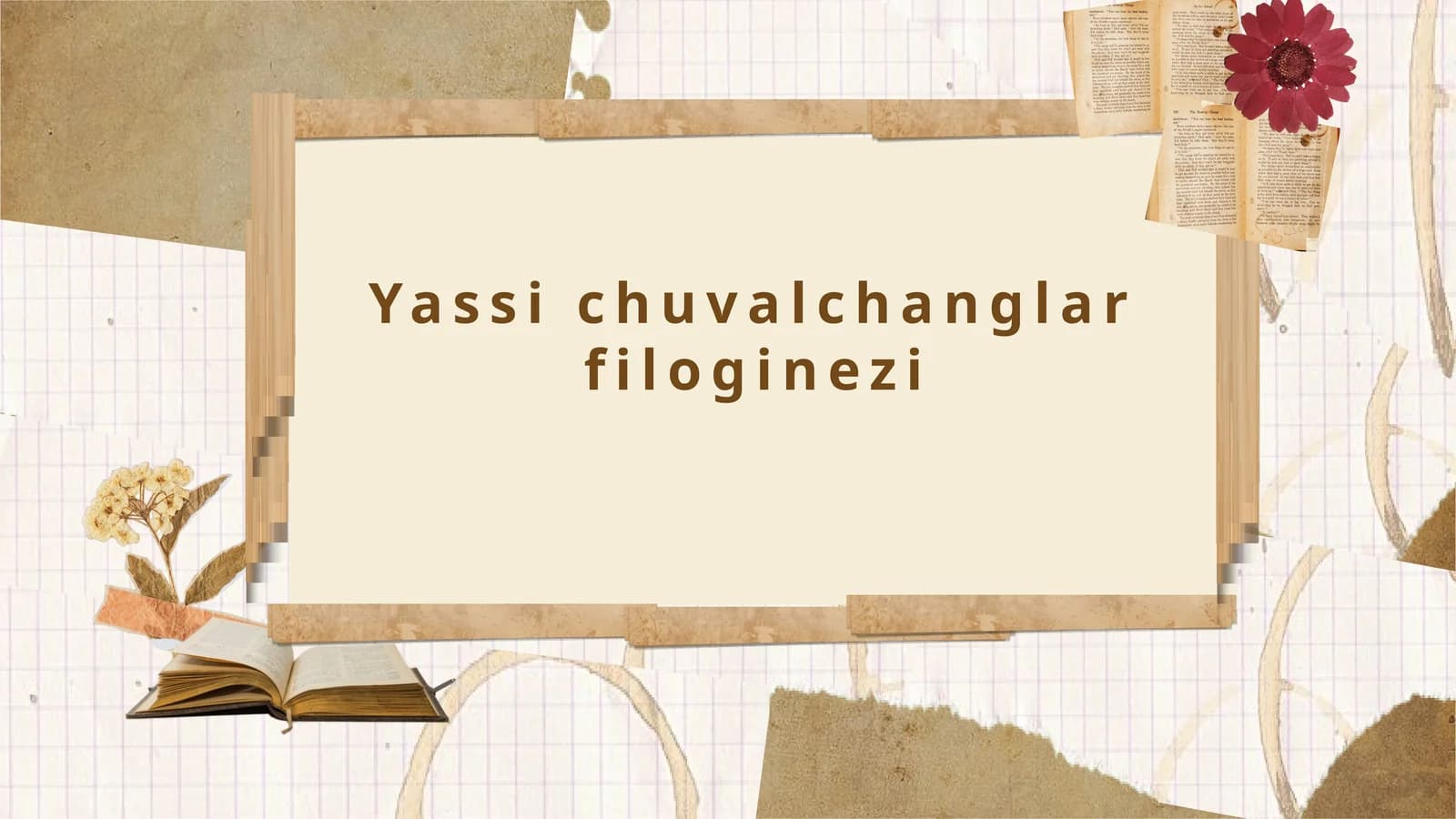 Yassi Chuvalchanglar Filogenezi