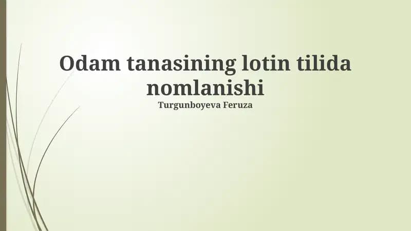 Odam tanasining lotin tilida nomlanishi