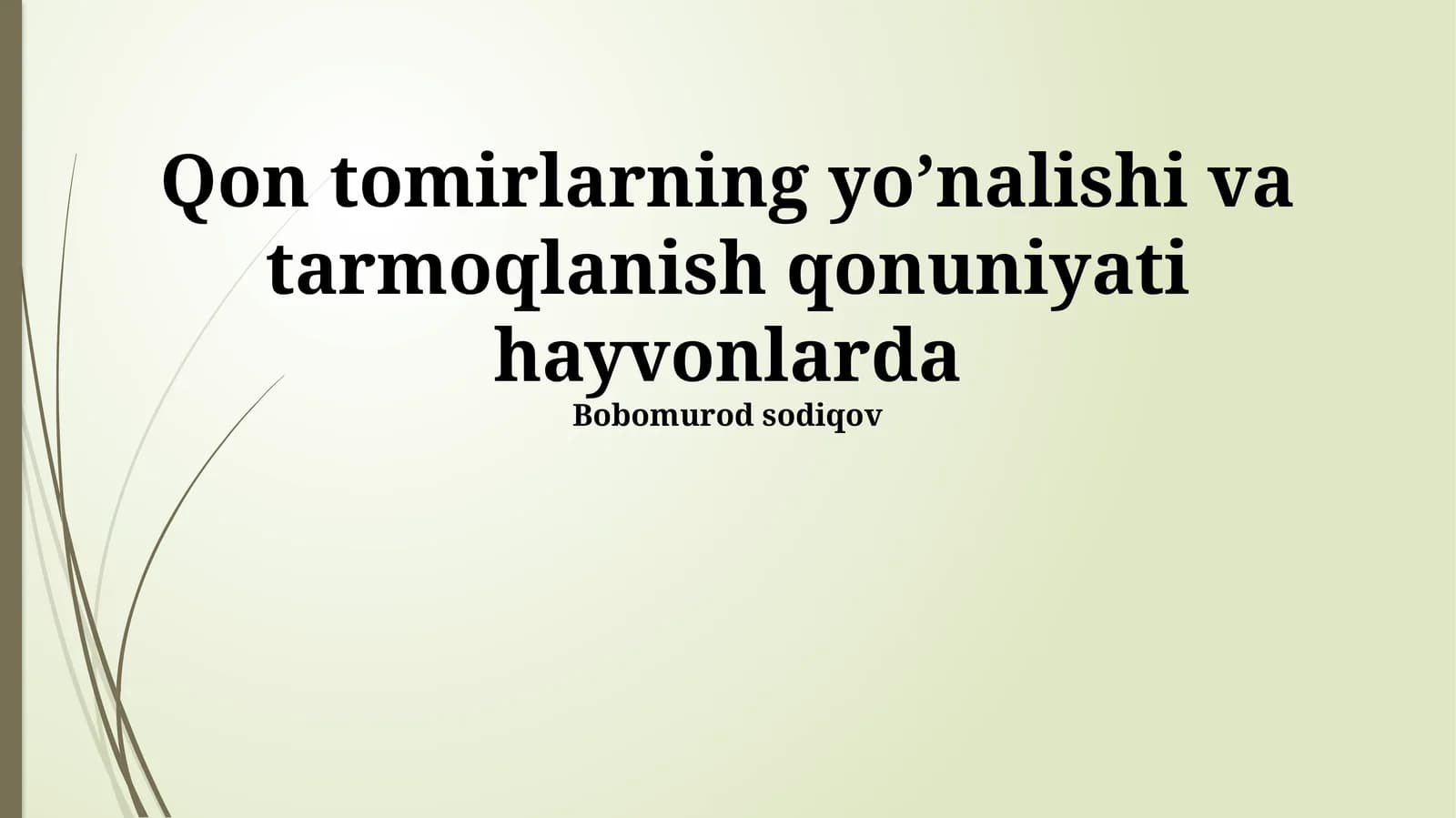 Qon tomirlarning yo’nalishi va tarmoqlanish qonuniyati hayvonlarda