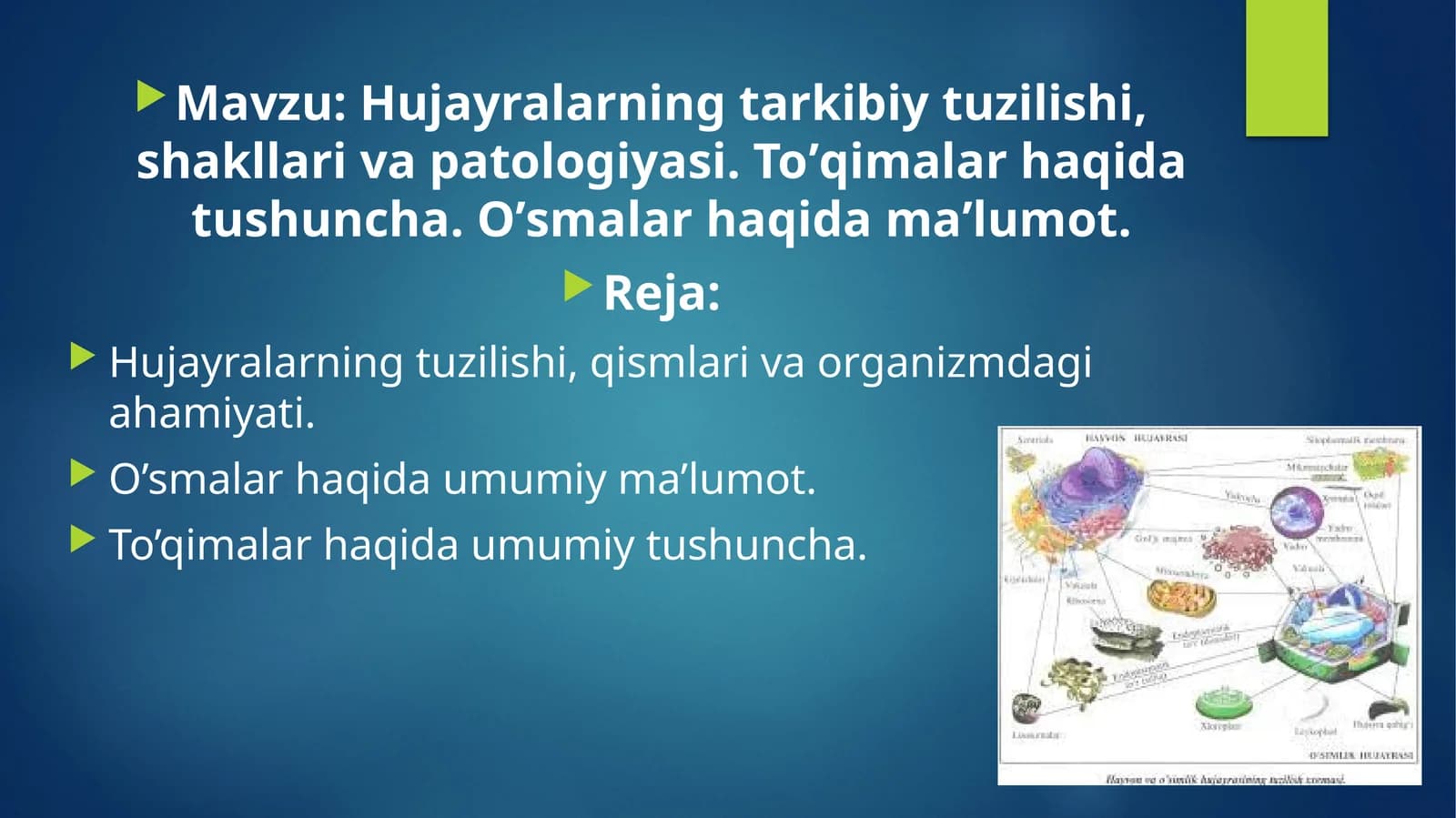 Hujayralar tuzilishi va vazifalari