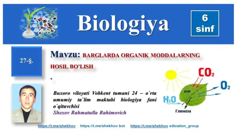 Organik moddalar hosil bo'lishi