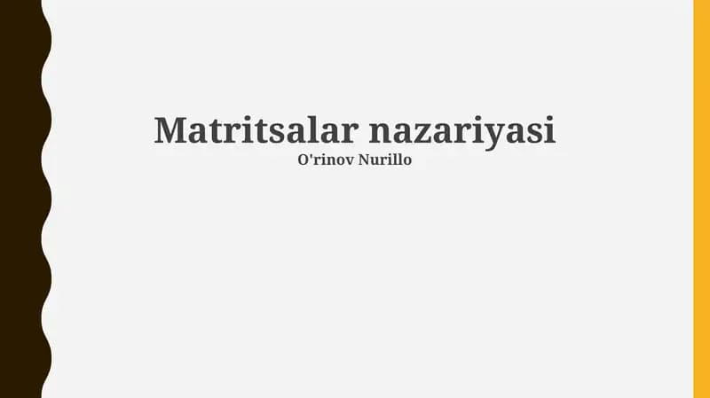 Matritsalar nazariyasi