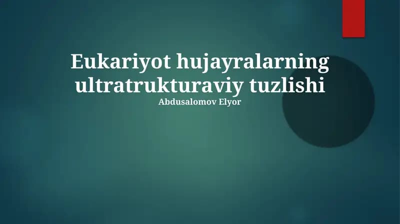 Eukariyot hujayralarning ultratrukturaviy tuzlishi