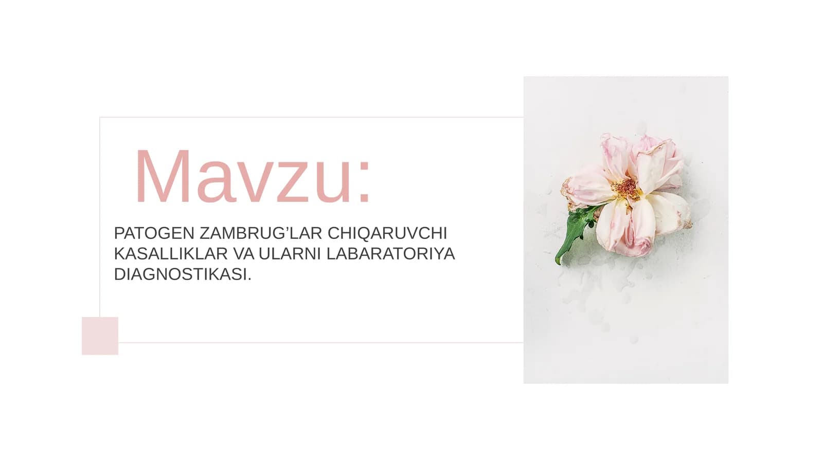 PATOGEN ZAMBRUG’LAR CHIQARUVCHI KASALLIKLAR VA ULARNI LABARATOR DIAGNOSTIKASI