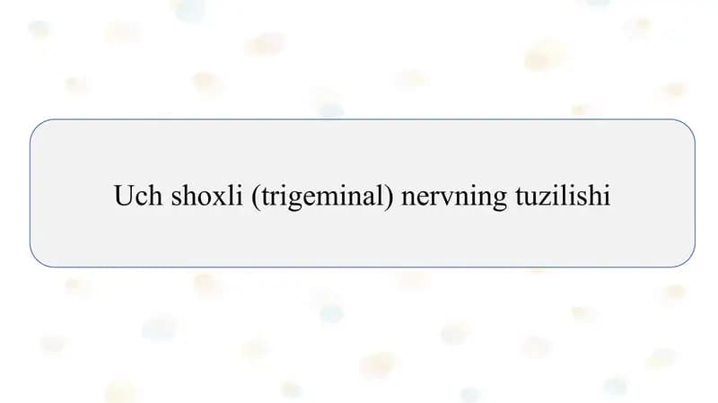 Uch shoxli (trigeminal) nervning tuzilishi          Uch shoxli (trigeminal) nervning tuzilishi
