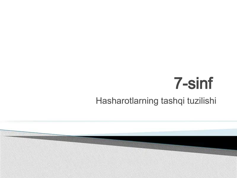 Hasharotlarning ichki tuzilishi