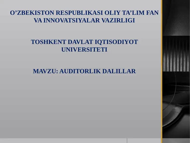 Auditorlik Dalillar