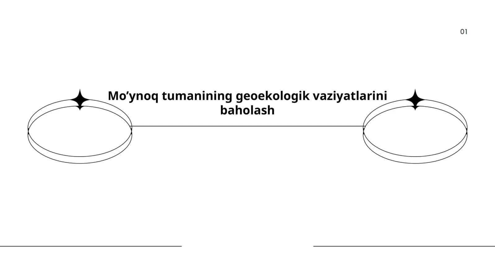 Mo’ynoq tumanining geoekologik vaziyatlarini baholash