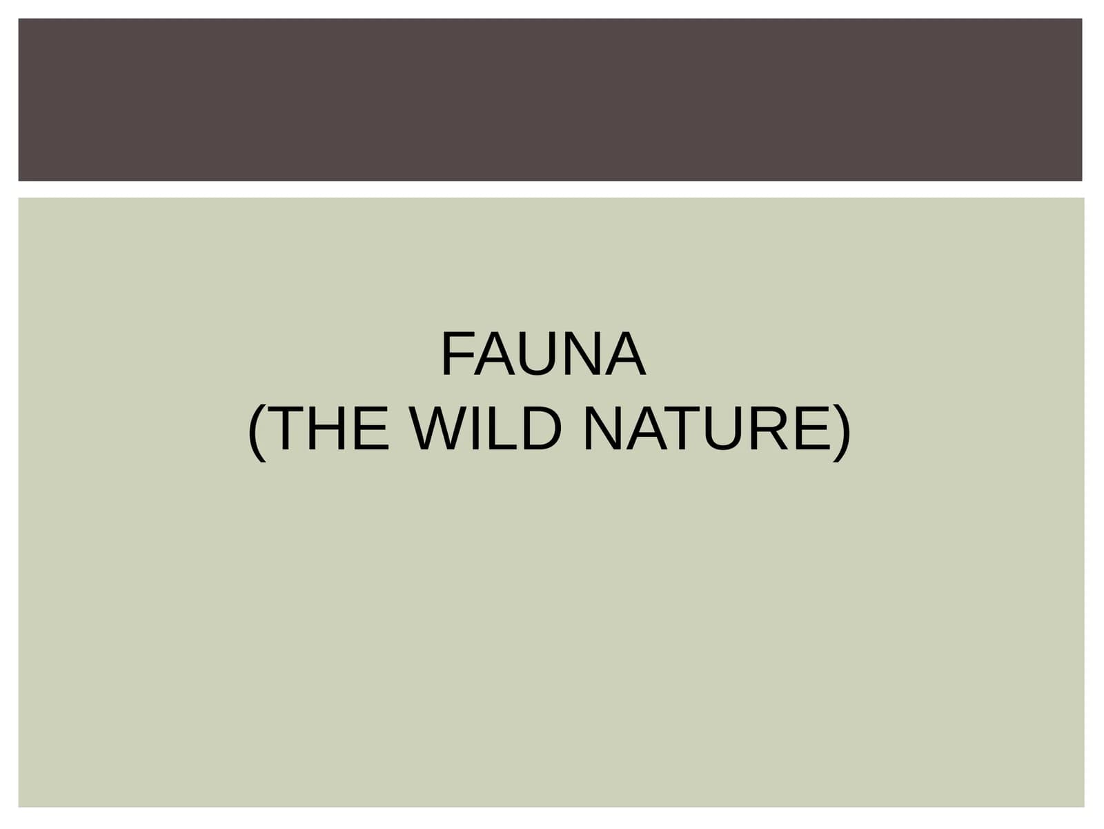 FAUNA