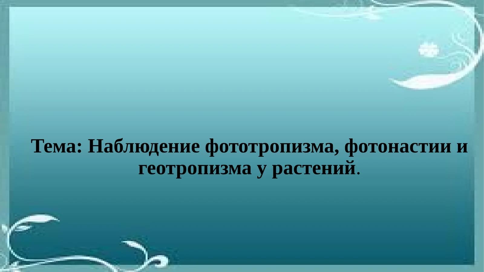 Фототропизм, фотонастии ва геотропизм наблюдениялари у растениялар