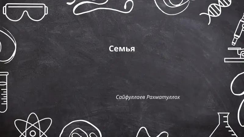 Семья