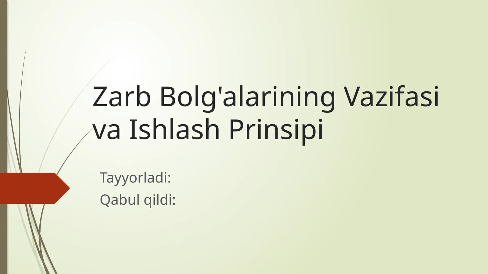 Zarb Bolg'alarining Vazifasi va Ishlash Prinsipi