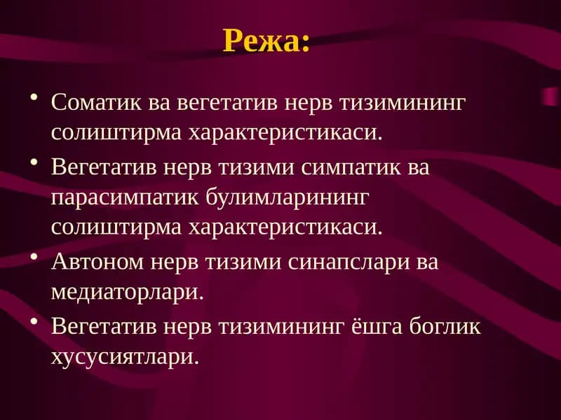 Соматик ва вегетатив нерв тизимининг солиштирма характеристикаси