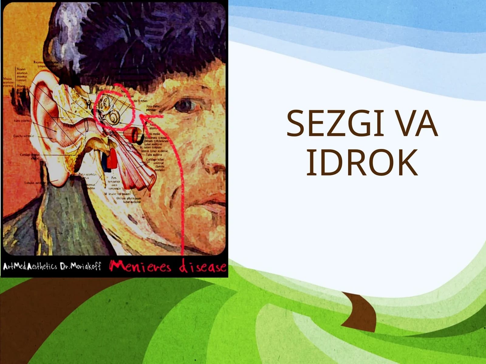 SEZGI VA IDROK