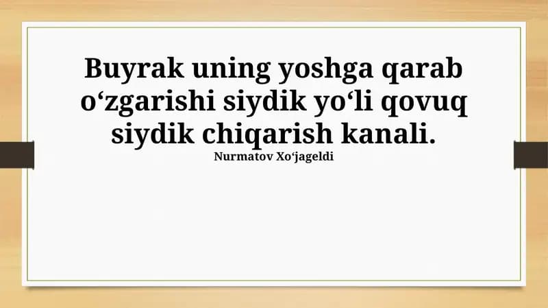 Siydik pufagi