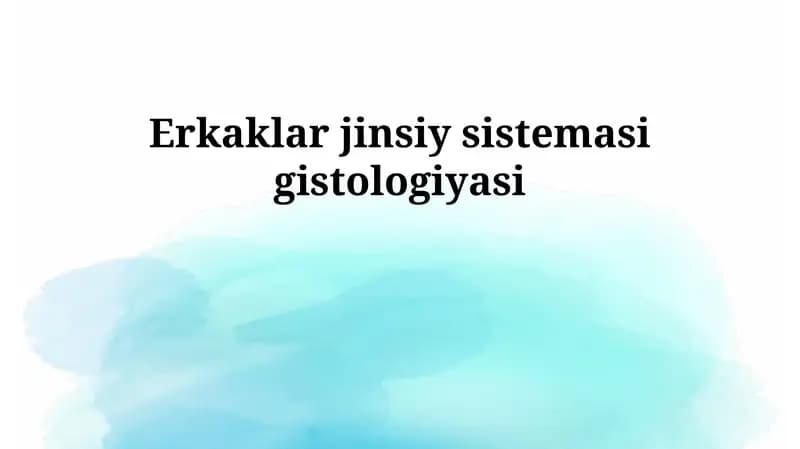 Erkaklar jinsiy sistemasi gistologiyasi