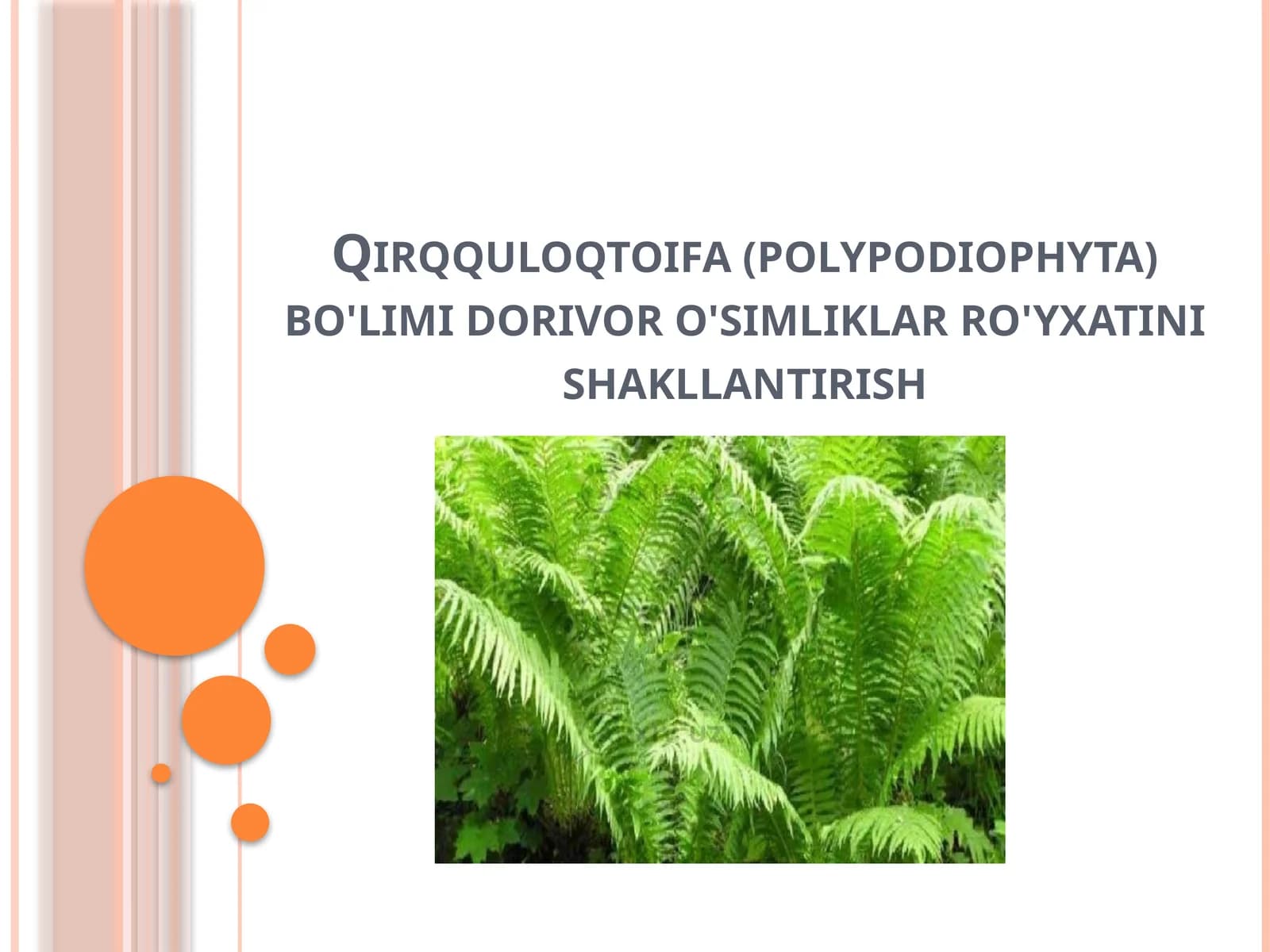 Qirqquloqtoifa (polypodiophyta) bo'limi dorivor o'simliklar ro'yxatini shakllantirish