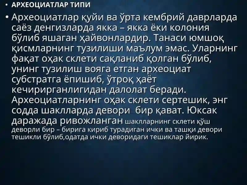 Археоциатлар Типи