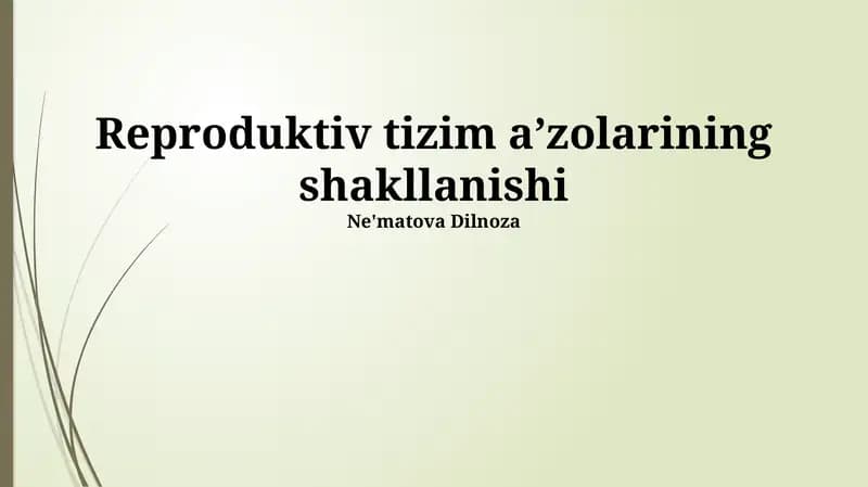 Reproduktiv tizim aʼzolarining shakllanishi