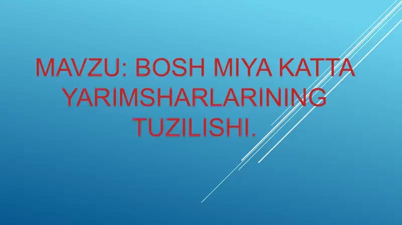 Bosh miya katTa yarimsharlarining tuzilishi.