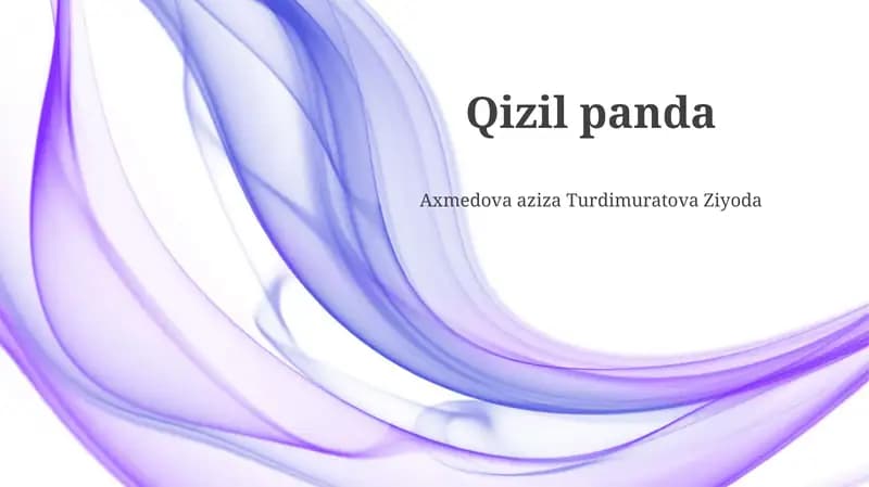 Qizil panda
