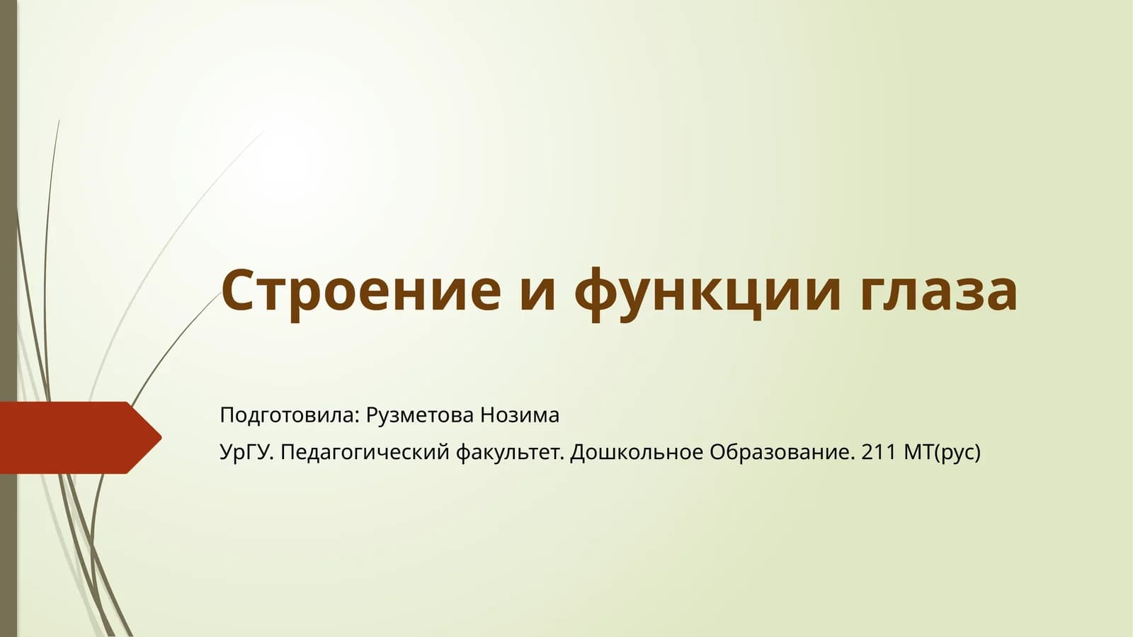 Строение и функции глаза