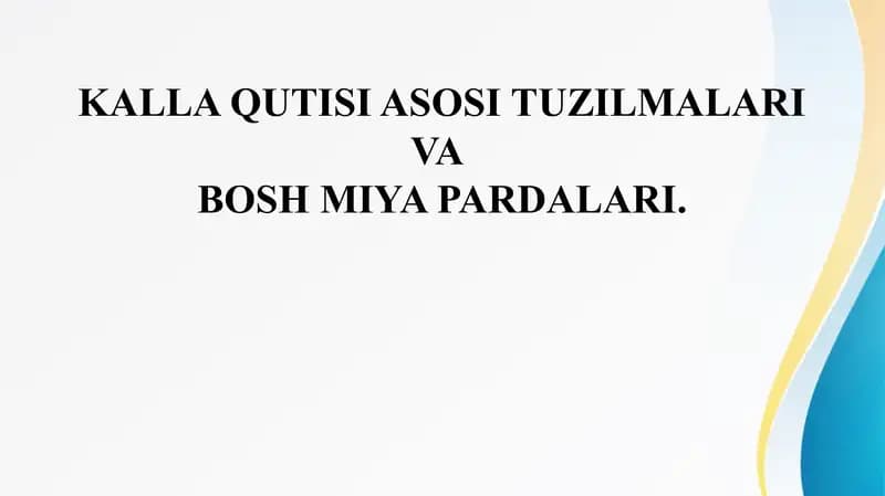 KALLA QUTISI ASOSI TUZILMALARI VA  BOSH MIYA PARDALARI.  Бош мия пардалари