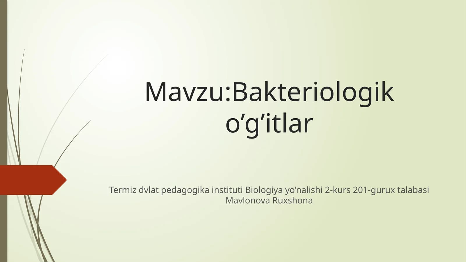 Bakteriologiko’g’itlar
