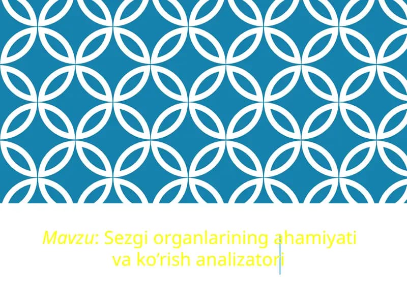 Sezgiorganlariningahamiyativako’rishanalizatori