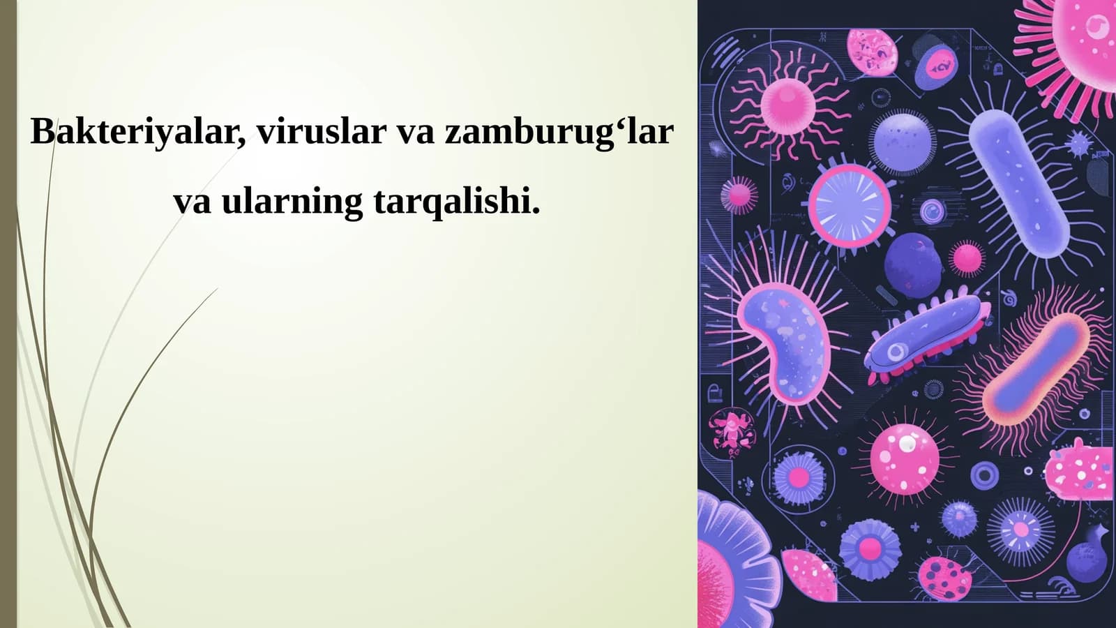 Bakteriyalar, viruslar vazamburug‘lar vaularningtarqalishi