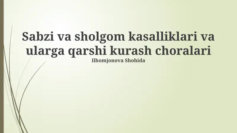 Sabzi va sholgom kasalliklari va ularga qarshi kurash choralari