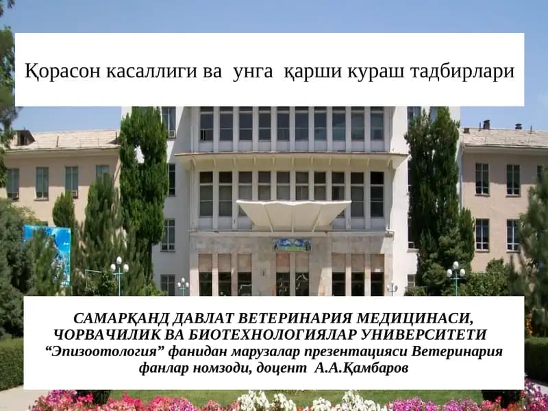 Қорасон касаллиги