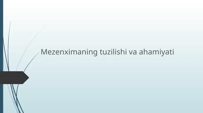 mezenxima