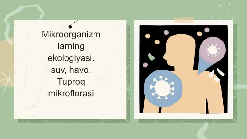 Mikroorganizm larning ekologiyasi
