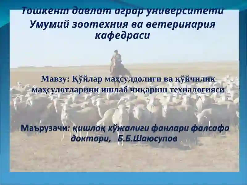 Қўйлар маҳсулдолиги ва қўйчилик маҳсулотларини ишлаб чиқариш технологияси