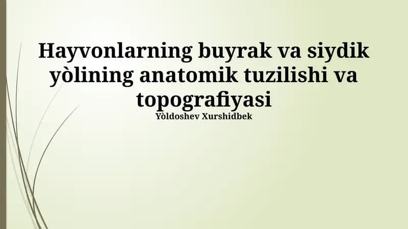 Hayvonlarning buyrak va siydik yòlining anatomik tuzilishi va topografiyasi
