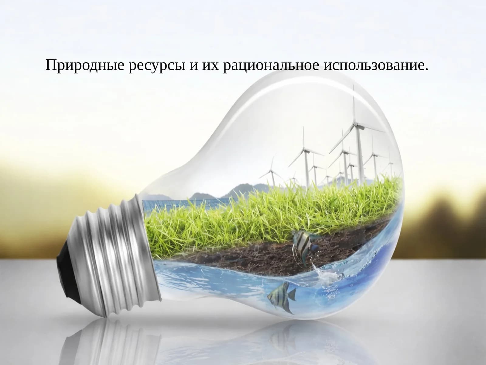 Природные ресурсы и их рациональное использование