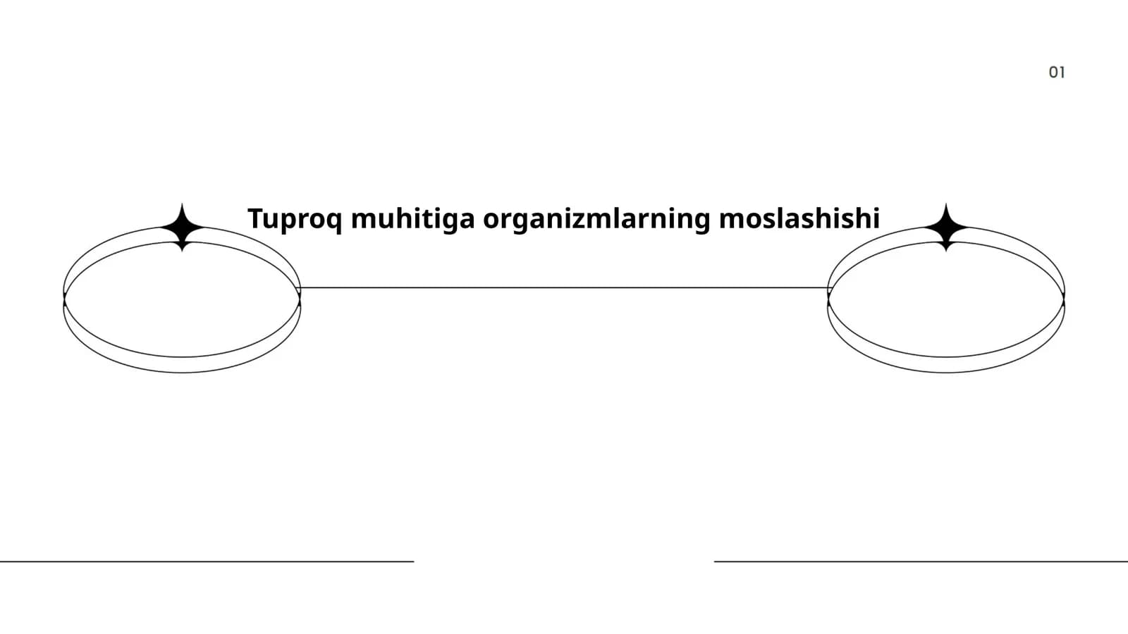 Tuproq muhitiga organizmlarning moslashishi