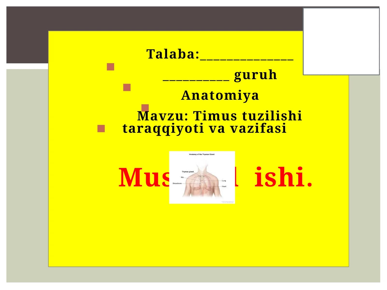 Talaba: Anatomiya
