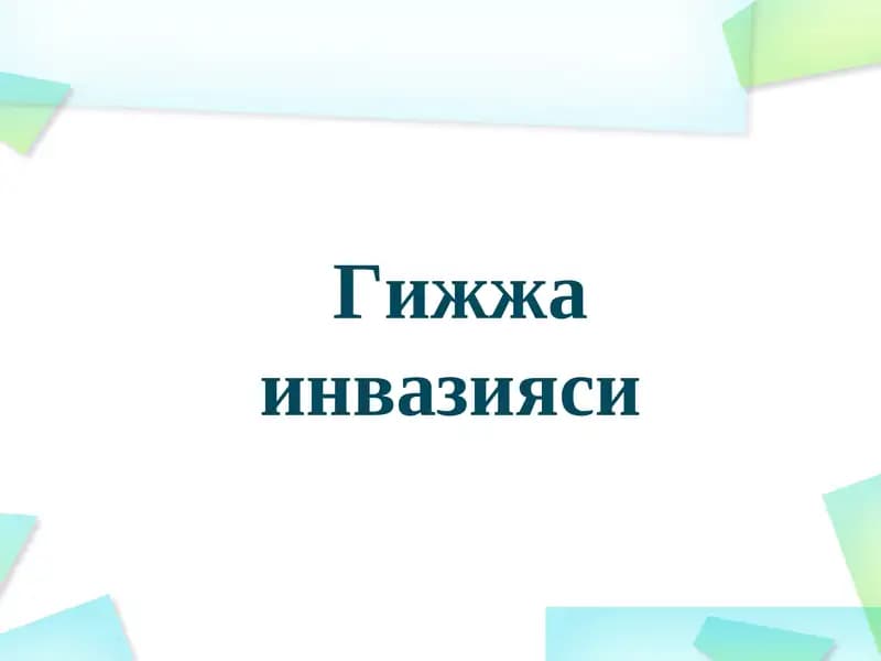 Гижжа инвазияси