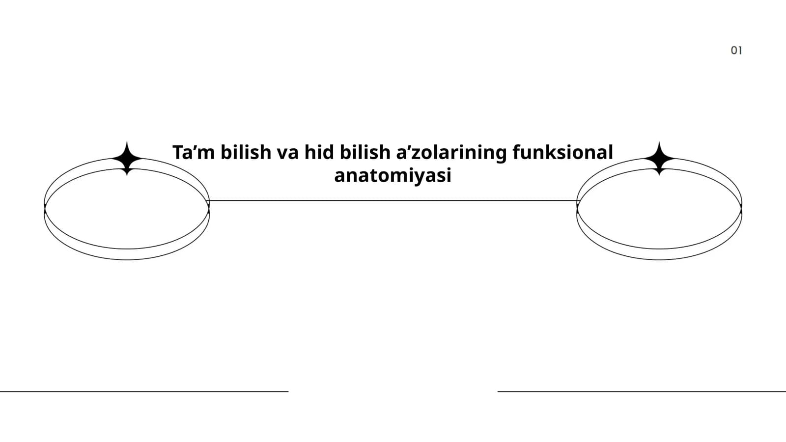 Ta’m bilish va hid bilish a’zolarining funksional anatomiyasi